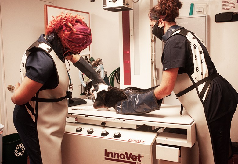 Diagnostics & Laboratory
