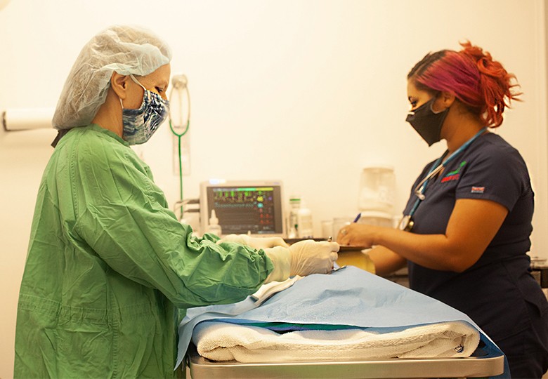 Surgery & Anesthesia
