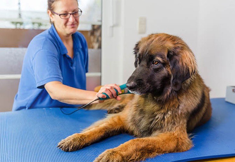 Laser Therapy